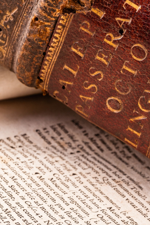 Πώς να μάθω λατινικά πιο εύκολα